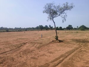 Plot Area in  Land at Pedda Gopalaram – for Sale