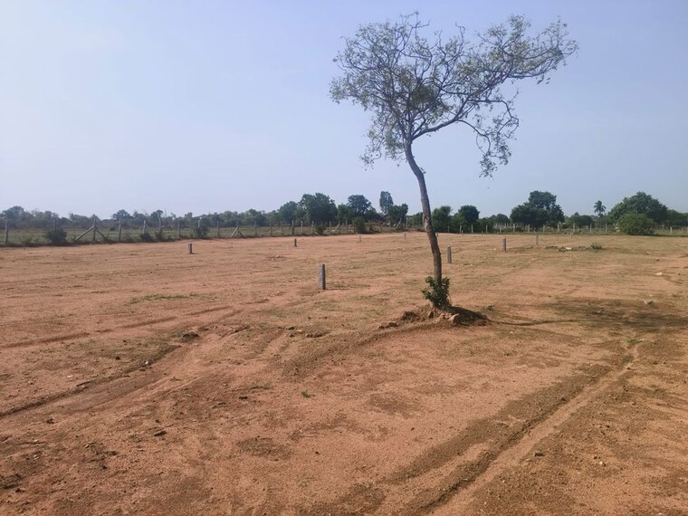 undefined, pedda gopalaram Commercial Land 4480 Sq.Ft. In Pedda Gopalaram Hyderabad 10498634