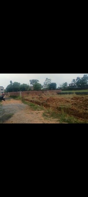 Plot Area in  Plot at Kanke – for Sale