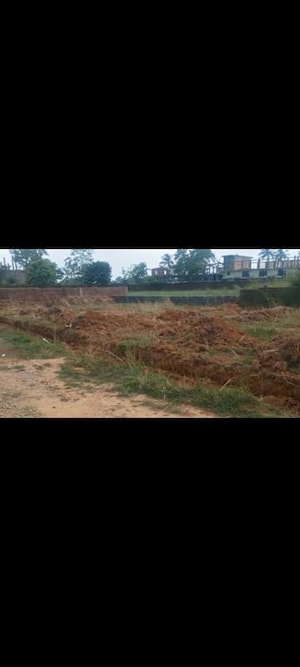 Plot Area in  Plot at Kanke – for Sale