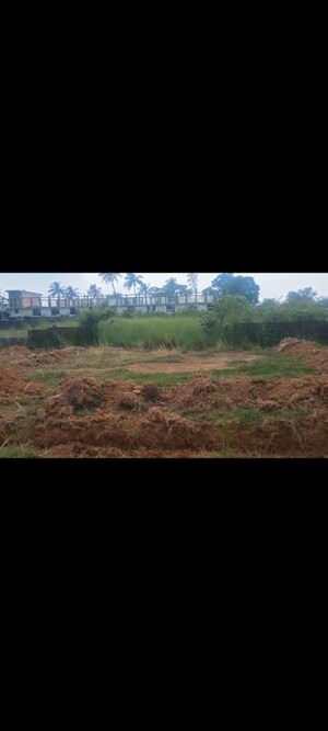 Plot Area in  Plot at Kanke – for Sale