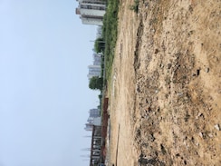 Plot For Sale in Sector 98