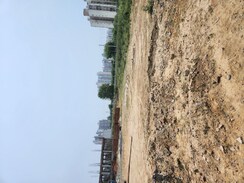 Plot For Sale in Sector 98