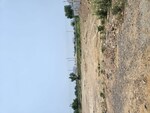 179 Sq.Yd. Plot in Sector 98