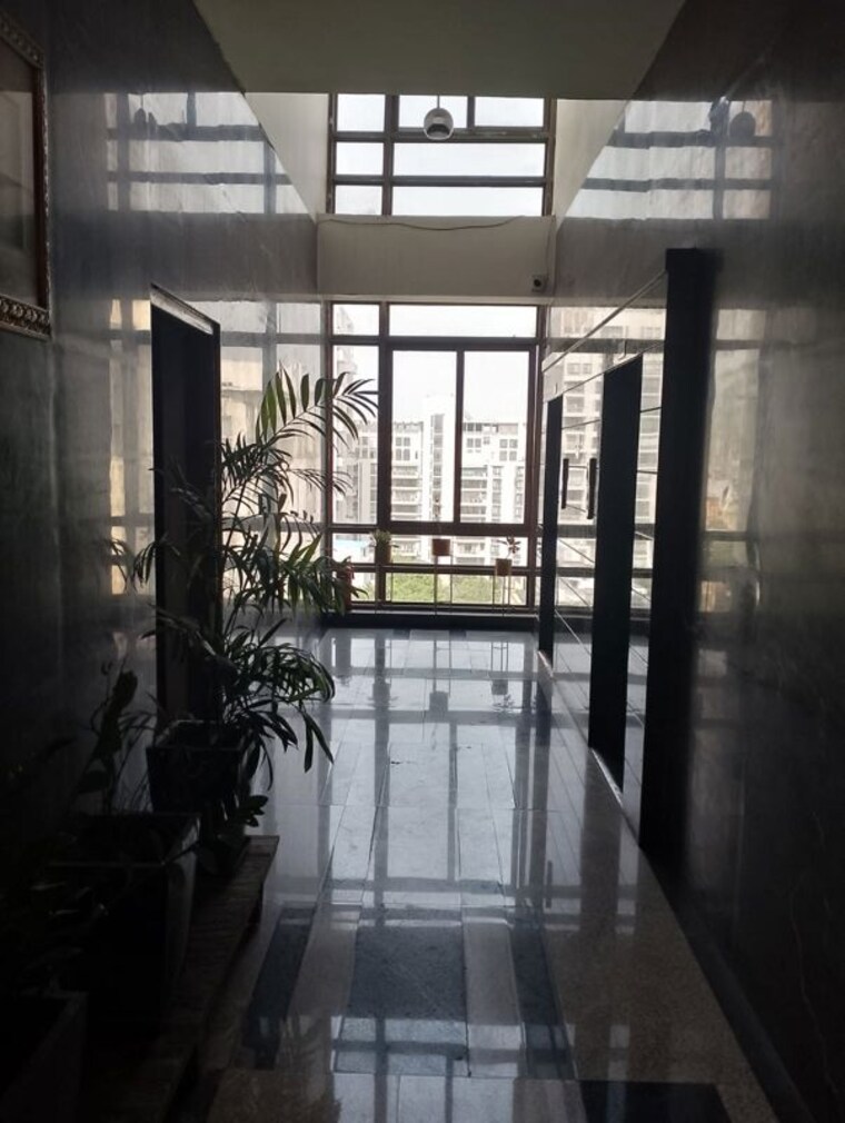 Balcony, ss-hibiscus 5 Bedroom 10000 Sq.Ft. Penthouse In Sector 50 Gurgaon 10499098