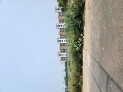 Plot For Sale in Sector 98