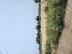 1160 Sq.Yd. Plot in Sector 11
