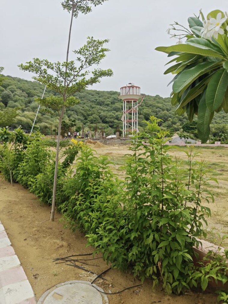 Garden, aman-enclave-boytawala  166 Sq.Yd. Plot In Boytawala Jaipur 10499159