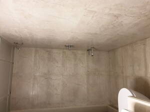 Bathroom in 2 BHK Apartment at Dosti West County, Balkum Pada – for Rent