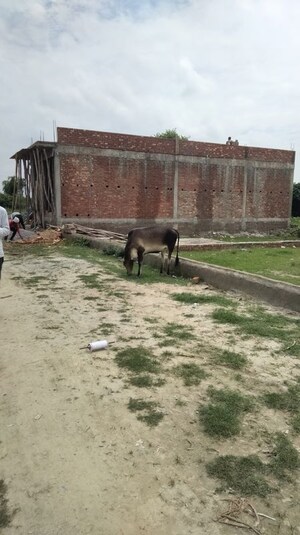  Plot – Exterior View View at Gopal Tower, Kamta - for Sale