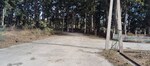 130 Sq.Yd. Plot in Pondha