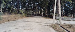 Plot For Sale in Pondha