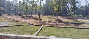 Plot Area in  Plot at Pondha – for Sale