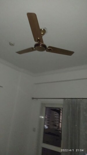 2.5 BHK Apartment For Rent in AWHO Shanti Vihar, Sector 95