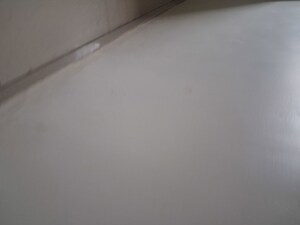 Room in 1 BHK Apartment at Palladium Homes, Dhanori – for Rent