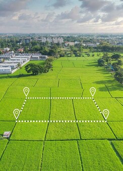 Plot For Sale in Sector 145