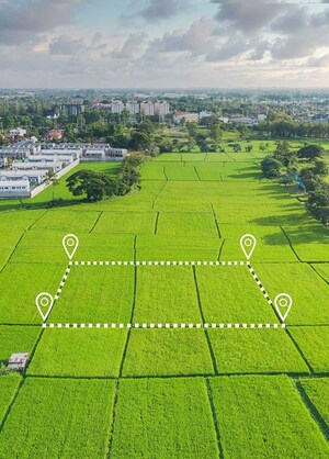  Plot For Sale in Sector 151