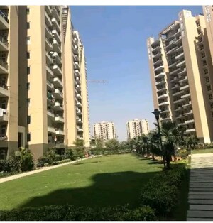 4 BHK Apartment – Exterior View View at Tulip Violet, Sector 69 - for Sale