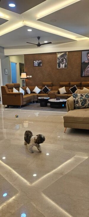 Living Room in 4 BHK Apartment at Windsor Grande Residences, Andheri West – for Rent