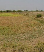 100 Sq.Mt. Plot in Dholera