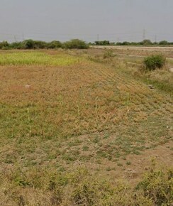 Plot For Sale in Dholera