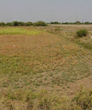  Plot For Sale in Dholera