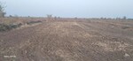 100 Sq.Mt. Plot in Dholera