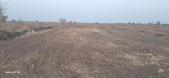Plot For Sale in Dholera