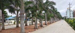  Plot – Exterior View View at Aashrithaa Venus County Premium, Haragadde - for Sale