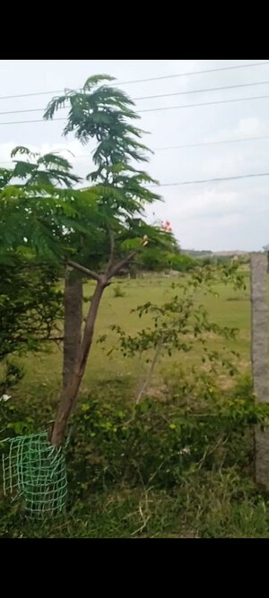  Land For Sale in Green County Shamirpet, Shamirpet