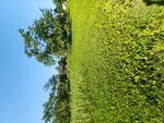 8640 Sq.Ft. Plot in North Guwahati