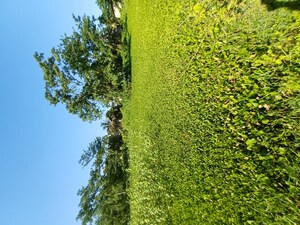  Plot For Sale in North Guwahati