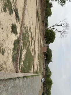Plot For Sale in Pindra