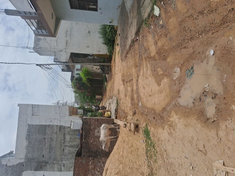 undefined, bhondsi  100 Sq.Yd. Plot In Bhondsi Gurgaon 10501464