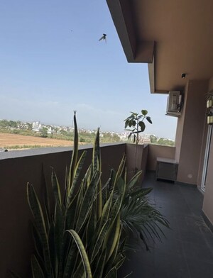 Balcony in 3 BHK Apartment at SAV Gulnaar Meadows, Ambala Highway – for Sale