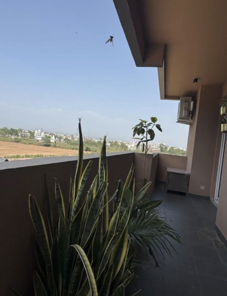 Balcony, sav-gulnaar-meadows 3 Bedroom 1800 Sq.Ft. Apartment In Ambala Highway Zirakpur 10501535