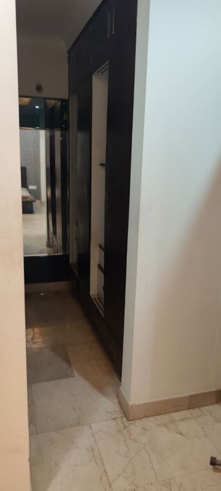 undefined, ss-hibiscus 4 Bedroom 2550 Sq.Ft. Builder Floor In Sector 50 Gurgaon 10501666