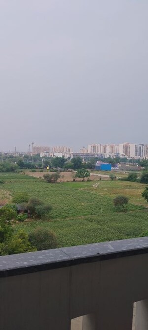 Plot Area in 4 BHK Builder Floor at Sector 85 – for Rent