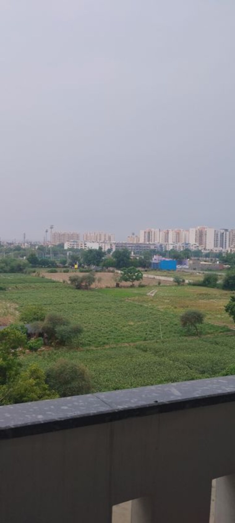 undefined, sector 85 4 Bedroom 250 Sq.Yd. Builder Floor In Sector 85 Faridabad 10501740