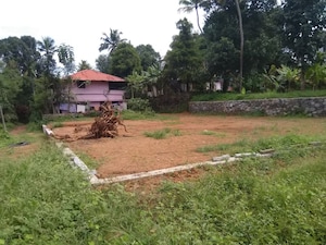  Plot For Sale in Puthencruz