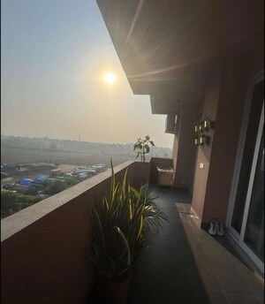 Balcony in 3 BHK Apartment at SAV Gulnaar Meadows, Ambala Highway – for Rent