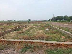  Plot For Sale in Jewar