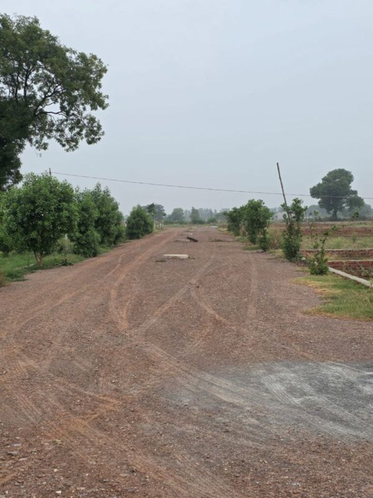 undefined, jewar  100 Sq.Yd. Plot In Jewar Greater Noida 10501842