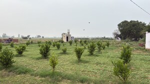 Plot Area in  Plot at Jewar – for Sale