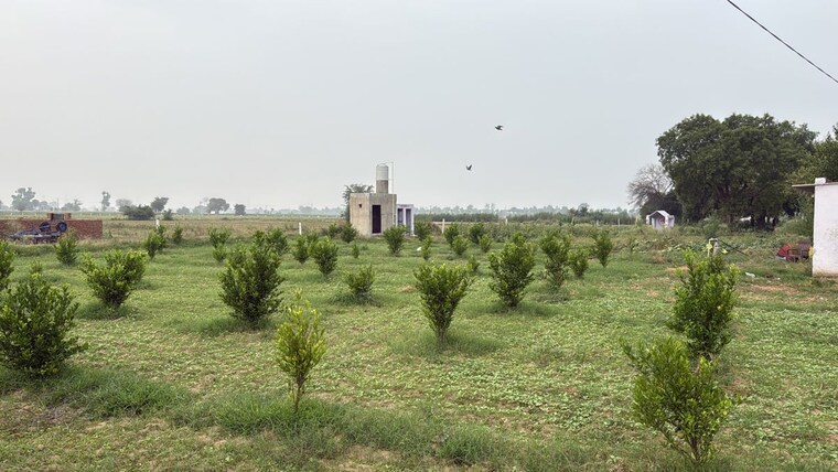undefined, jewar  100 Sq.Yd. Plot In Jewar Greater Noida 10501842