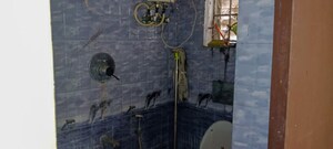 Bathroom in  Apartment at Mambalam – for Sale