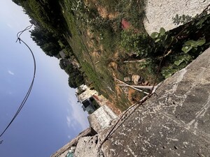 Plot Area in  Land at Saini Mohalla – for Sale