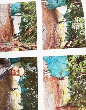  Land at Banashankari – for Sale