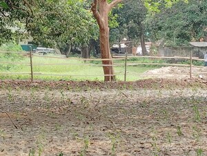 Plot Area in  Shop at Dum Dum – for Sale