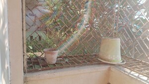 Bathroom in  Apartment at Narayanpur – for Sale